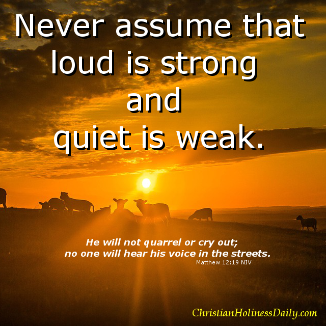 Matthew 12:19 NIV